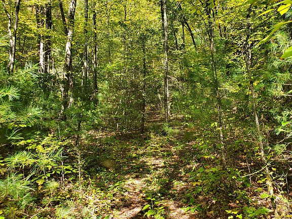 2nd image of Alf Branch Dr