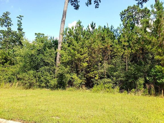 2nd image of 113 Kings Lake Estates Blvd