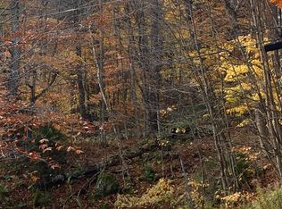 0 Bear Run, Killington, VT 05751