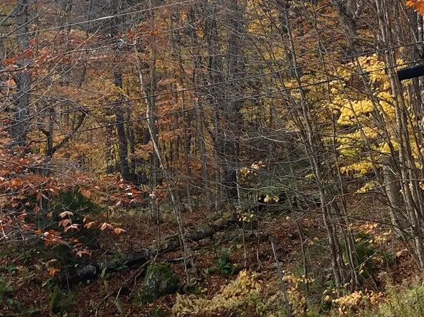 0 Bear Run Road, Killington, VT 05751