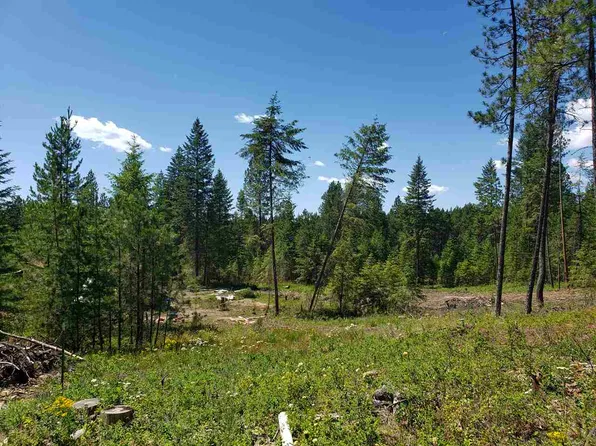 13011 E Nelson Rd, Elk, WA 99009