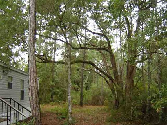 3rd image of 24 Lake Ellen Cir