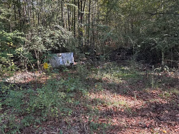 217 Lynn Dr, Coosada, AL 36020
