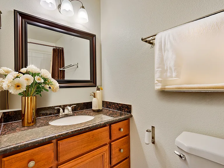 5150 Coco Palm Dr — Photo 7
