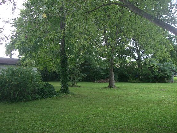 5th image of 120 Steve Roberts Dr