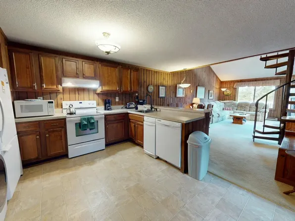 4-200 Wabasso Dr, Snowshoe, WV 26209