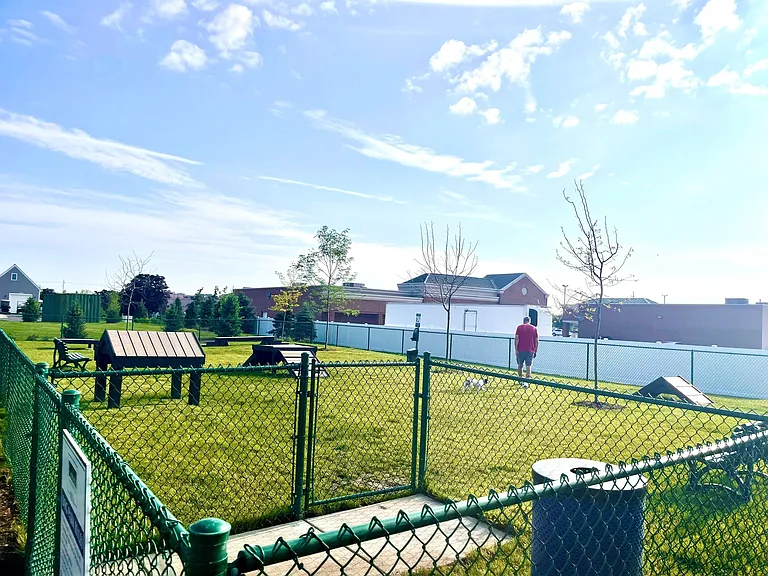 Dog Park