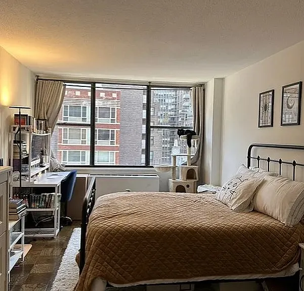 301 E 45th St #9E — Photo 4