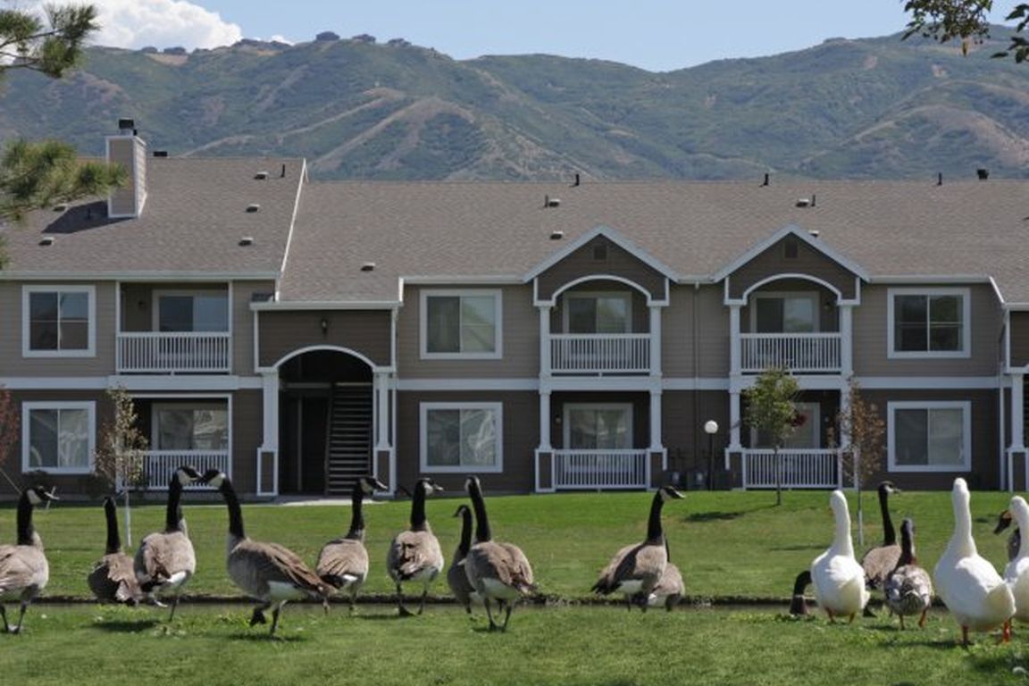 Feathered Friends