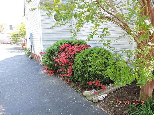 4th image of 9164 Graff Ct