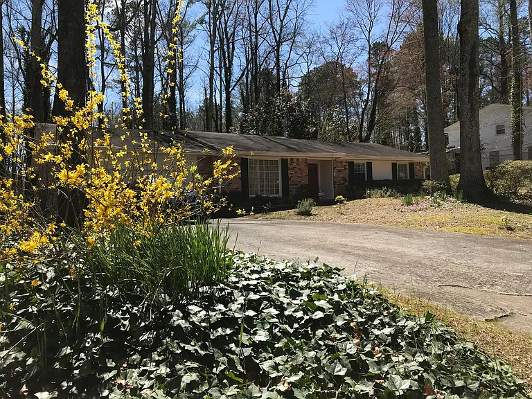 Front yard changing color throughout four season.