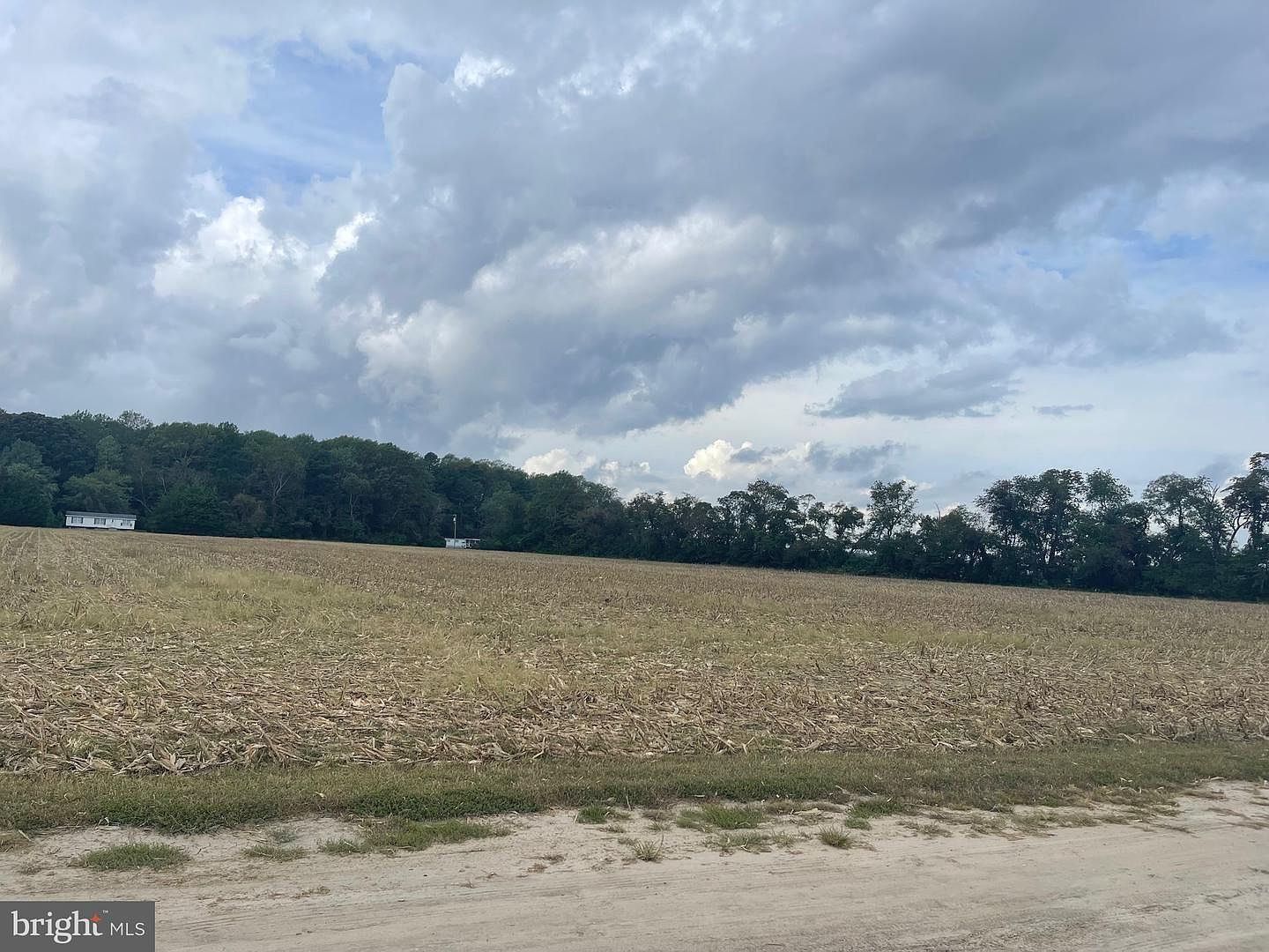 1130 w route 311 #2 millsboro de 19966