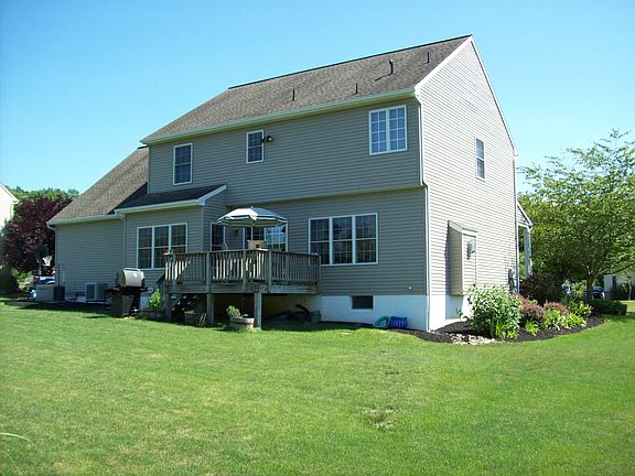 back view
