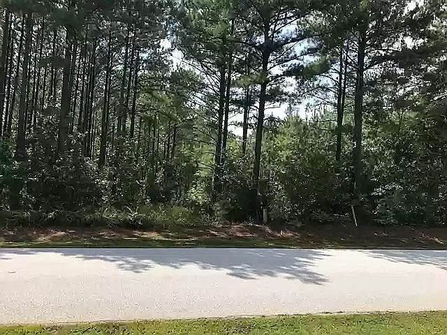 1st image of 314 Eagles Harbor Dr