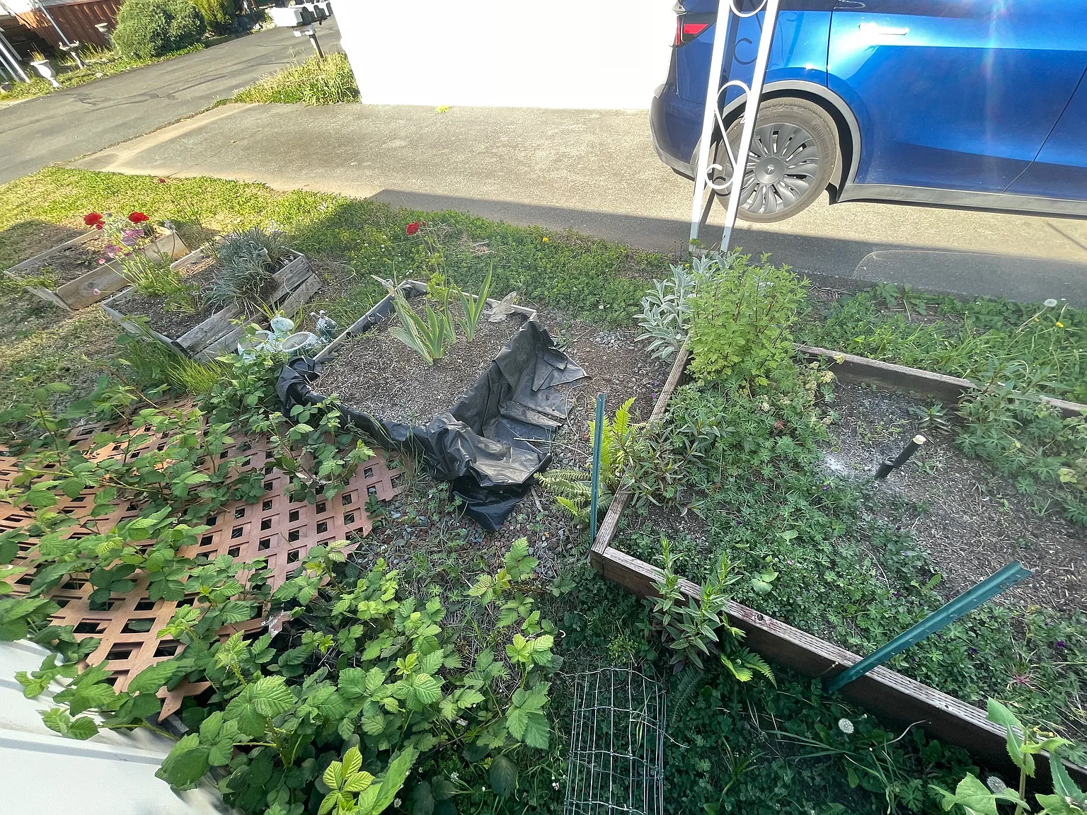 2 bed, 780 sqft, $1,200 — Photo 4