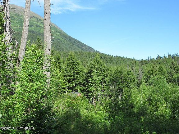 4th image of 27885 Hope Hwy