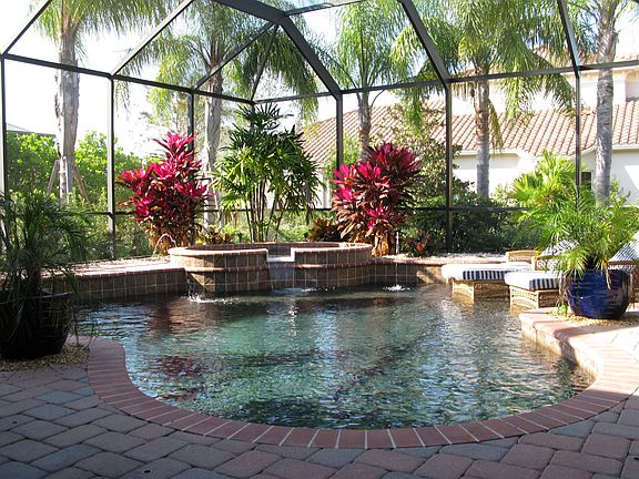 customer finished pool and deck