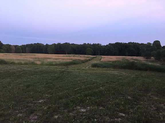 Looking toward back of
land