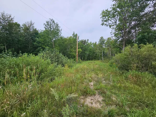 Moose River Rd E, Grygla, MN 56727
