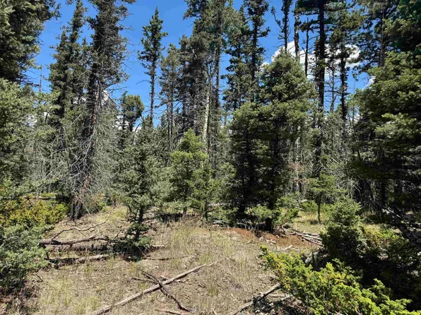 Lot 98 Elk Meadow, Angel Fire, NM 87710