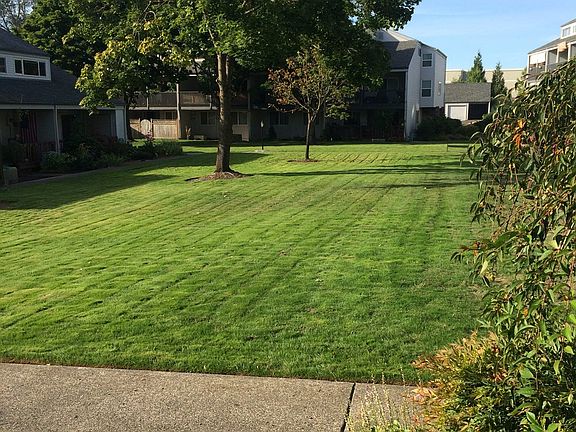 2nd image of 310 NE 85th St