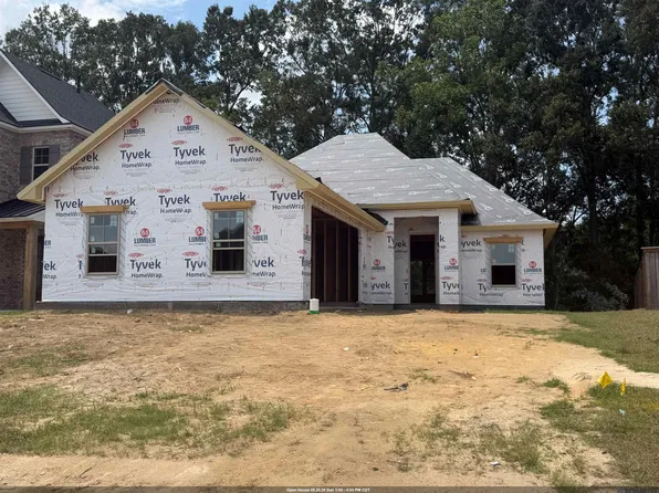 36130 Belle Parc Ave, Geismar, LA 70734