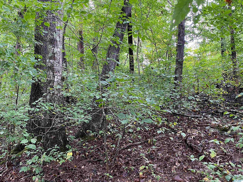 Church St, Valley Head, AL 35989 Zillow