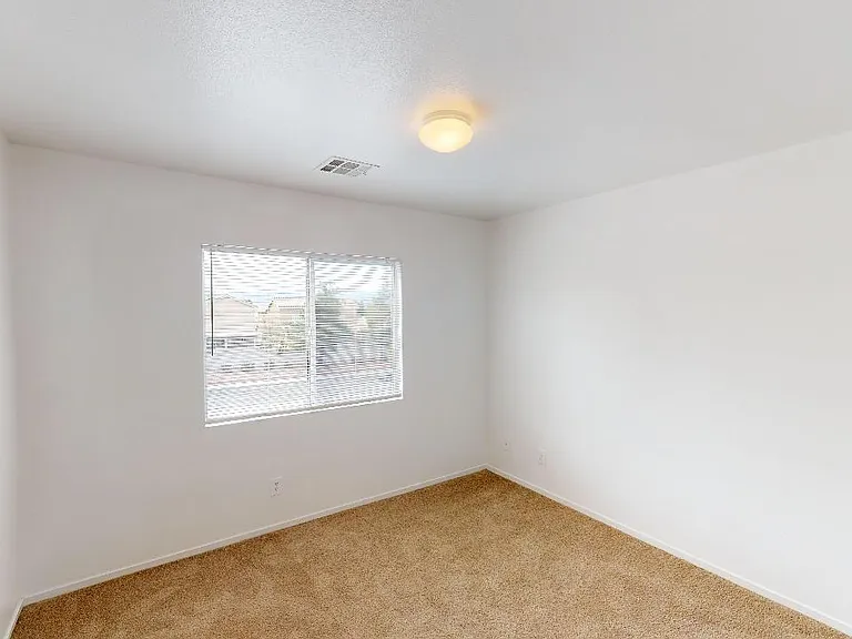 10005 Mystic Dance St — Photo 27