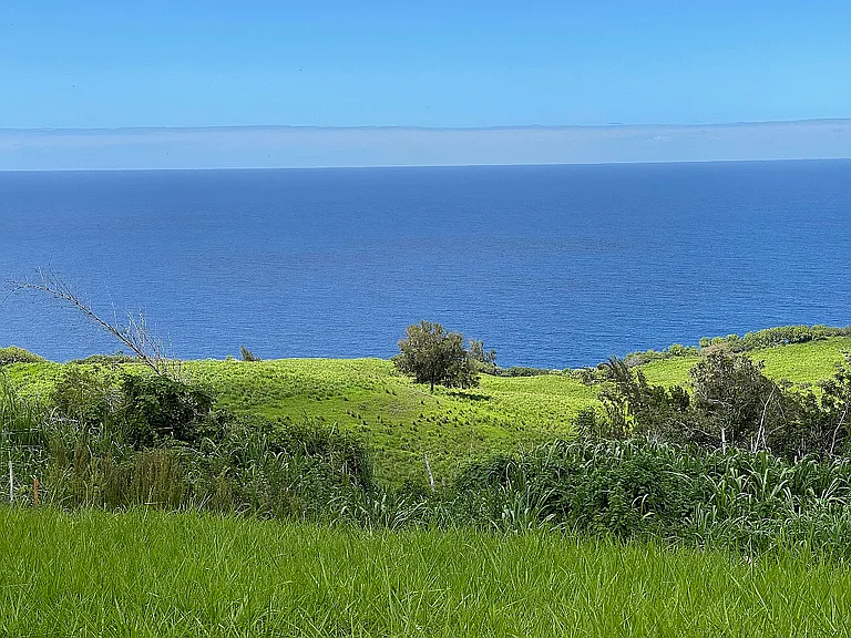 Kukuihaele Rd — Photo 12