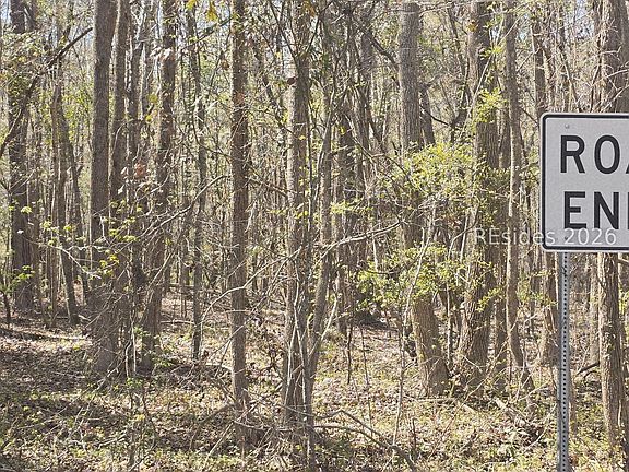 4th image of 5 Freeman St