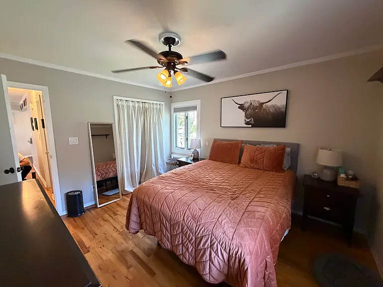 4 Timon Ct — Photo 6