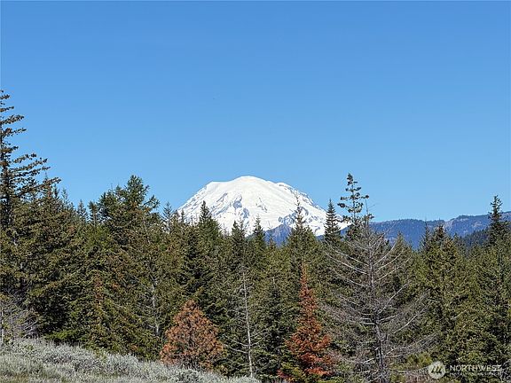 2nd image of 1524 Nasty Creek Road