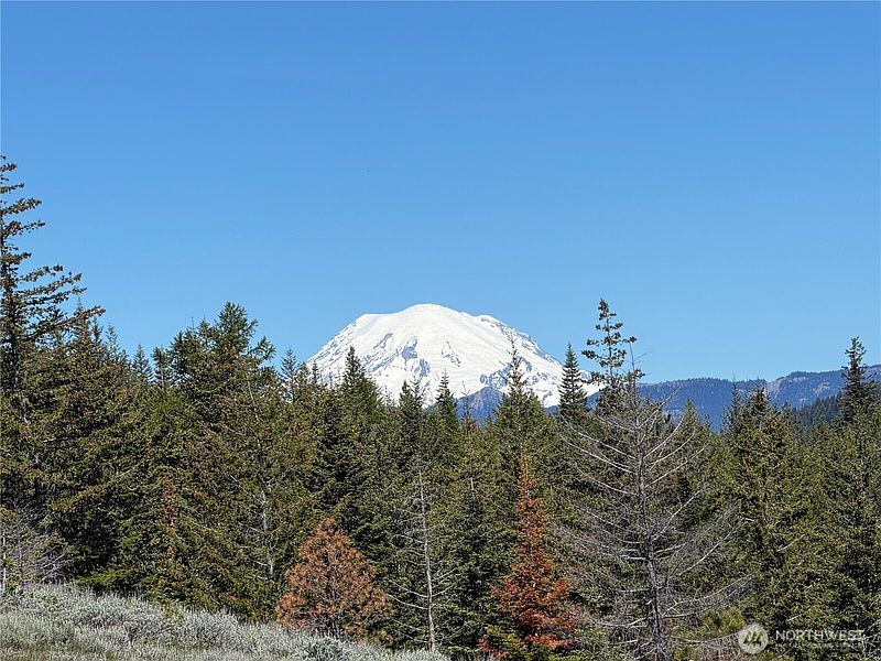 2nd image of 1524 Nasty Creek Road