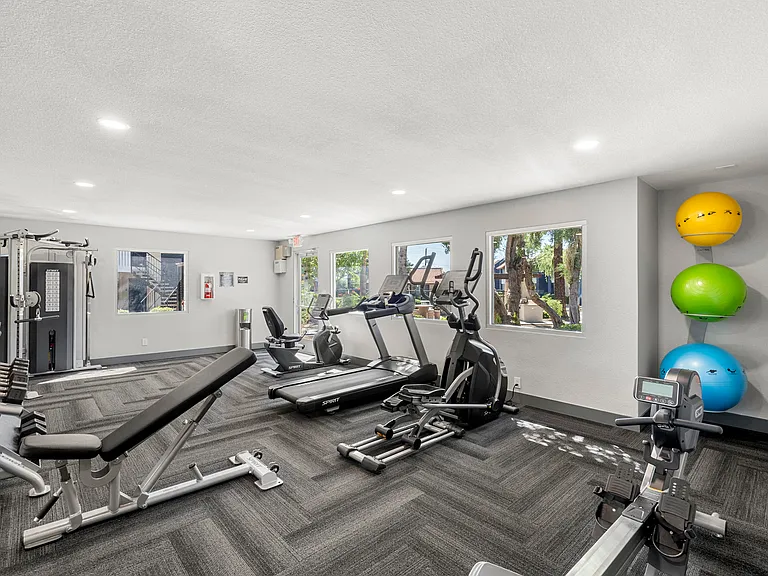 Fitness Center Equipments