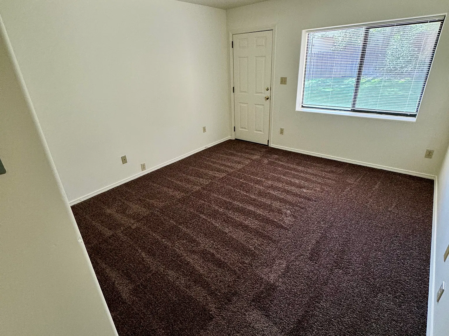 1 bed, 800 sqft, $1,500 — Photo 4