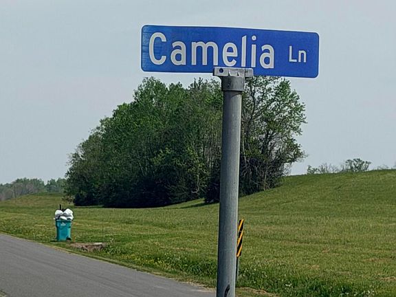 5th image of Wisteria Ln