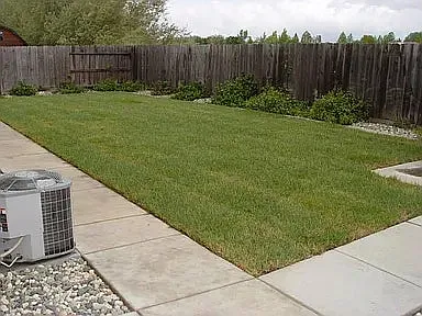 313 Royal River Dr — Photo 4
