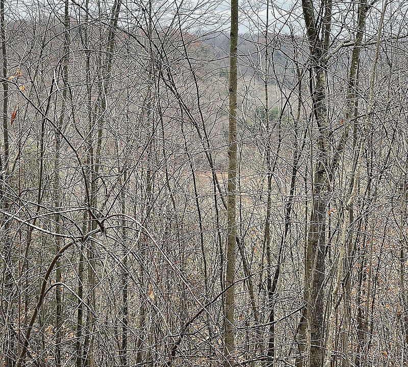 1st image of 7 Briarwood