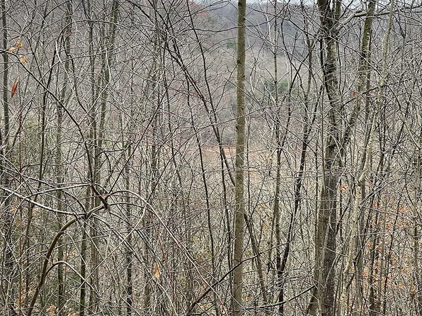 7 Briarwood, Russell Springs, KY 42642