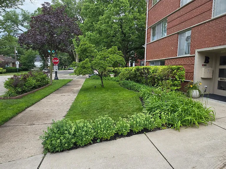 Wesley Ave — Photo 23