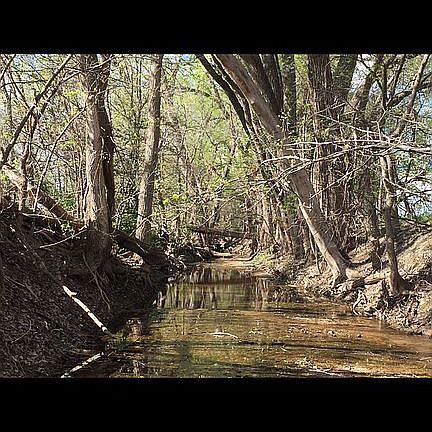 Just outside of our fence