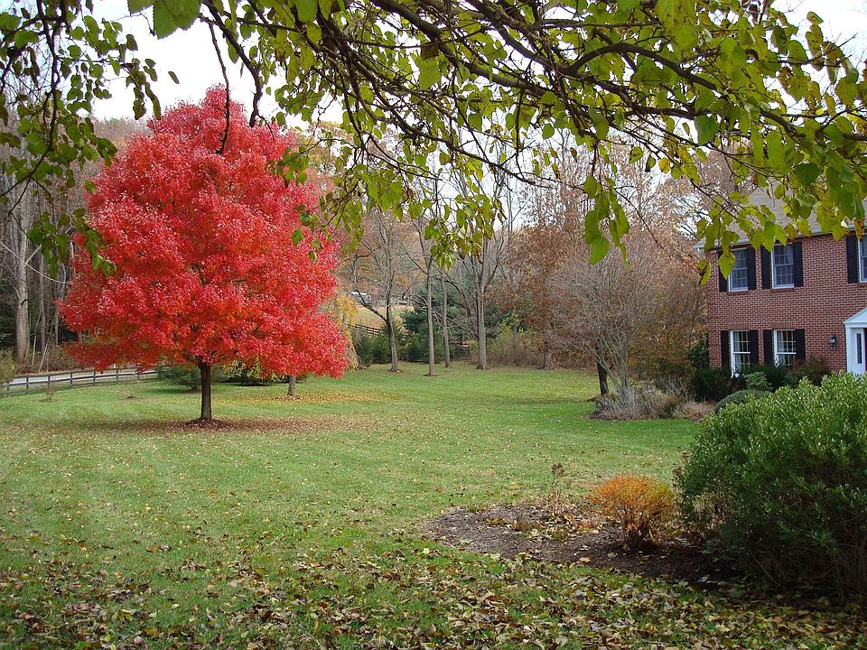 Fr. Driveway 