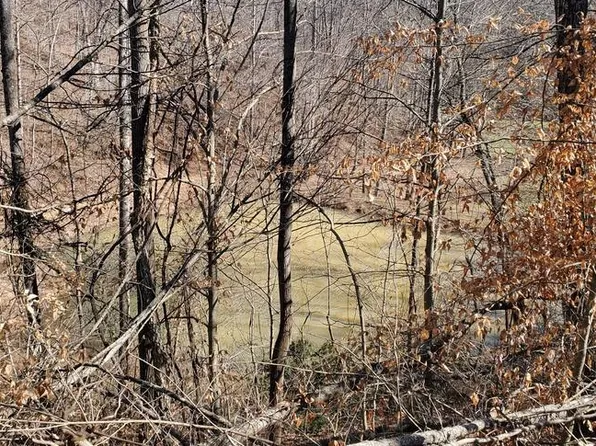 Carter Hollow Rd, Greenup, KY 41144