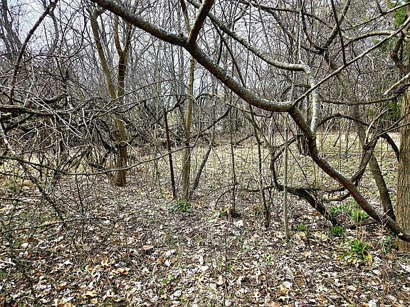 3rd image of Lts 6-9 ARBUTUS ROAD