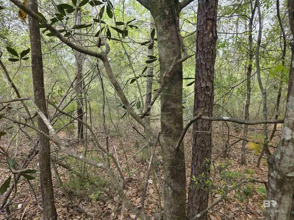 12287 Red Hill Road Ext, Bay Minette, AL 36507