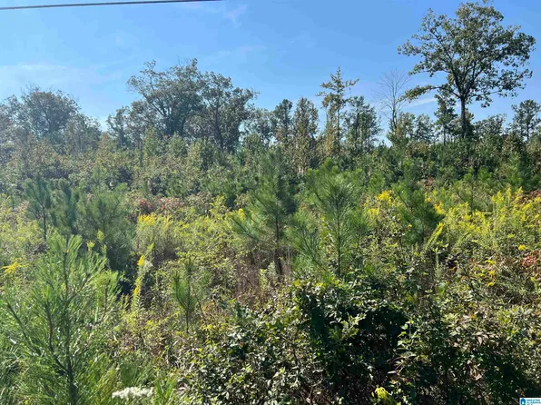 0 Shore Dr, Ashville, AL 35953