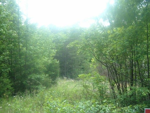2nd image of 188 Co Rd