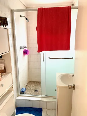 Rented by Luxury Apartments LIC | media 24