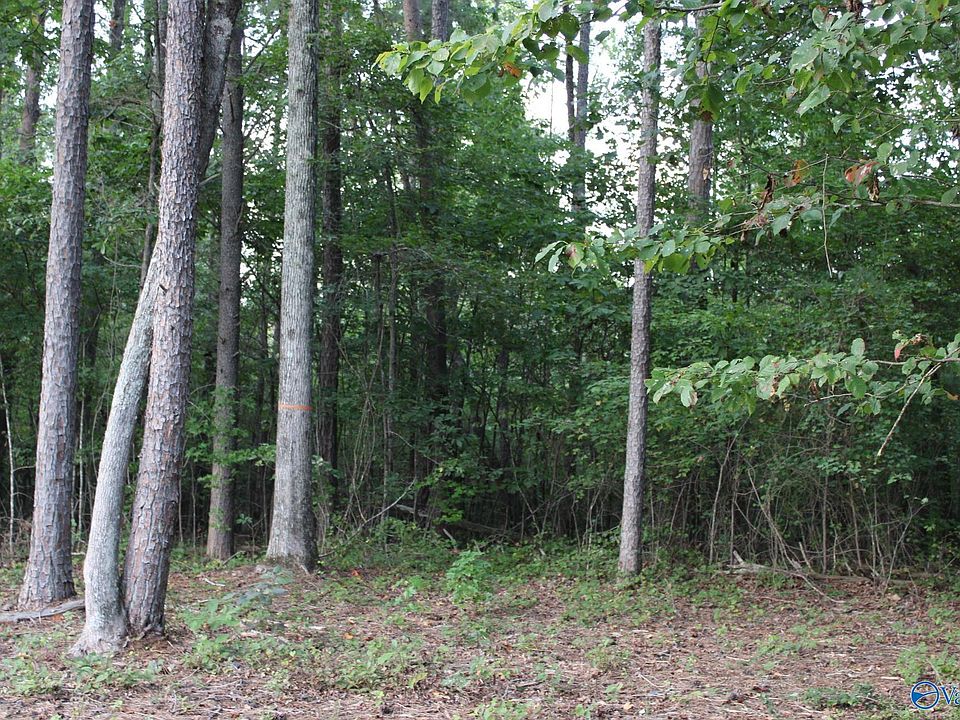 1st image of 1805 County Road 103