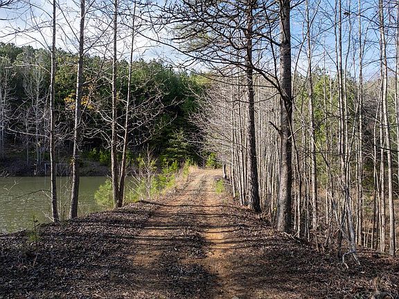 3rd image of 15201 County Road 63 N